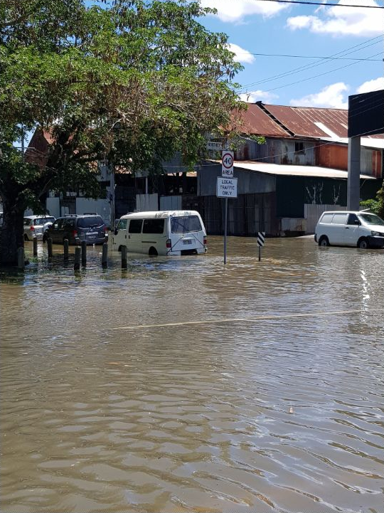 Brown water covering a park, with terrace houses and a tree in the background. Cars parked along the adjoining street show the water level as halfway up their wheels.